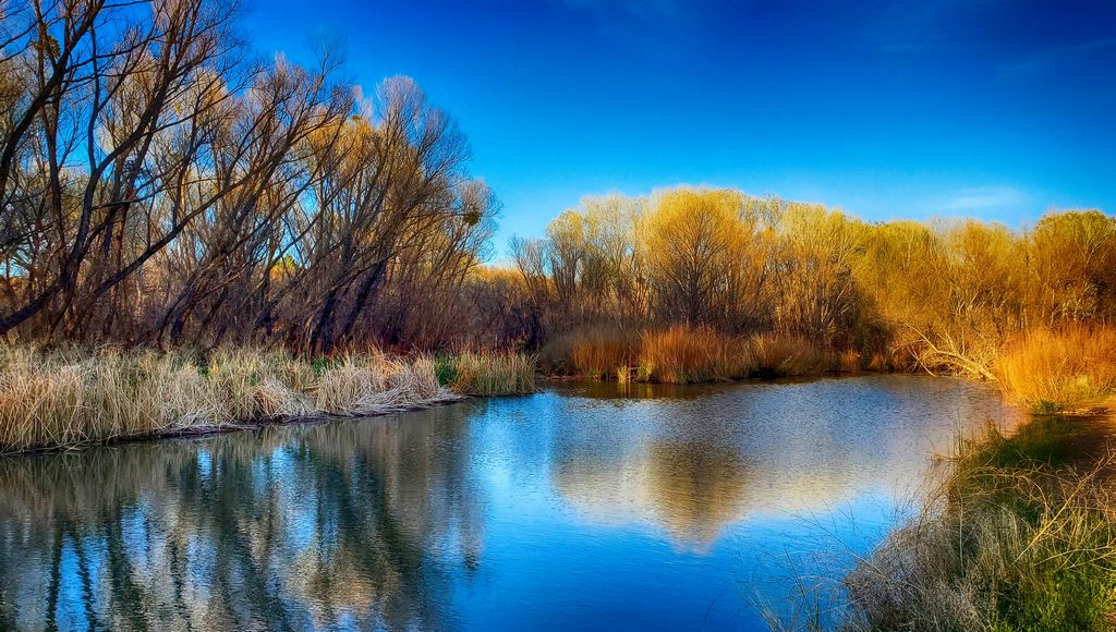 Verde River on the Jail trail